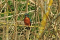 19 03 15_2504_edited-1